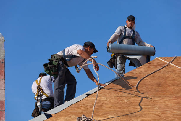 Best Flat Roof Repair Services  in Falls City, NE