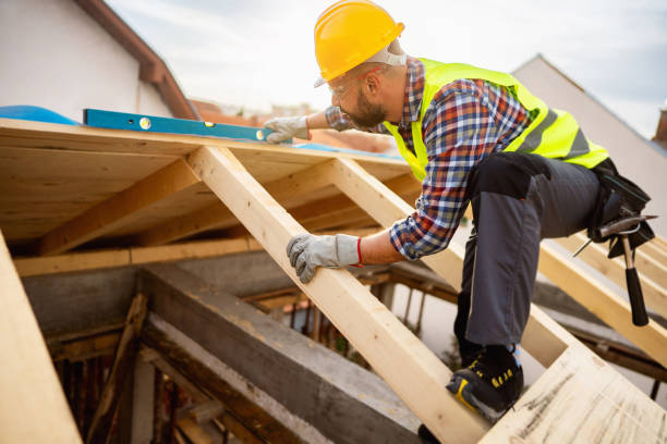 Best Roof Maintenance Services  in Falls City, NE